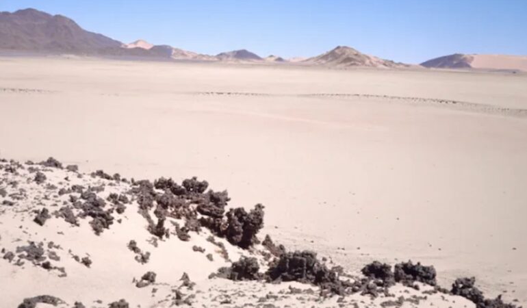 Kuş uçmaz sanılan çölün altından çıktı: ‘Yeşil Sahra’ izleri taşıyor