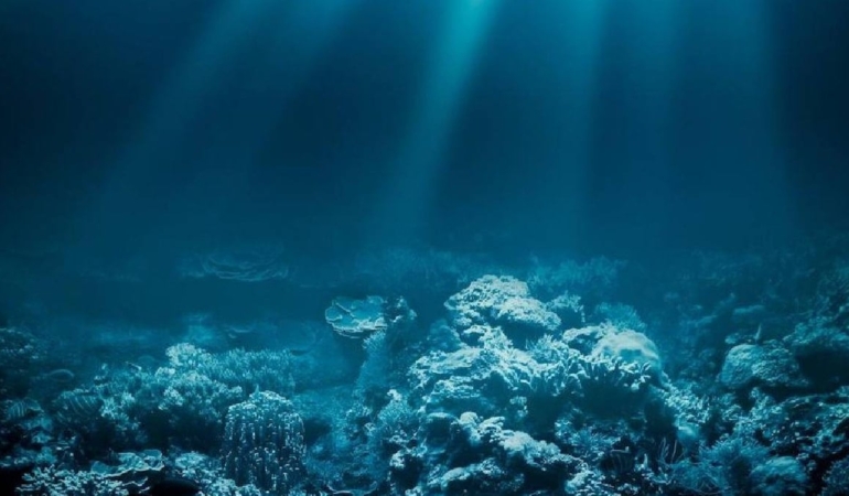 Okyanusun derinliklerinde şahin gözlü yaratık keşfedildi: Gözleri tüp gibi dönüyor