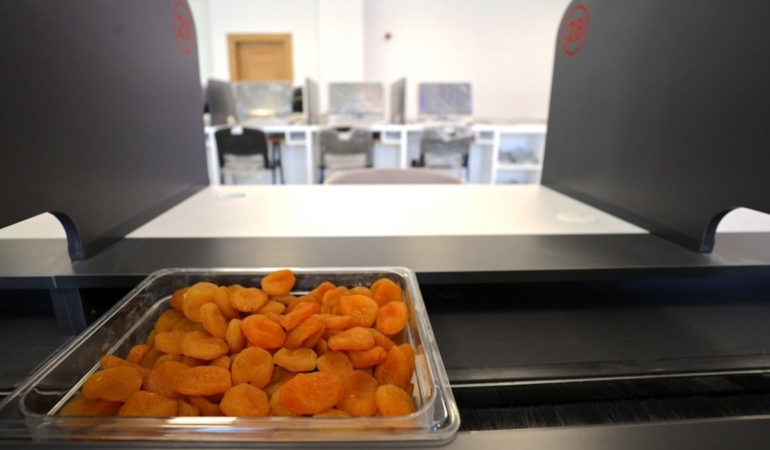 AB tescilli Malatya kayısısında ‘mezat’ dönemi