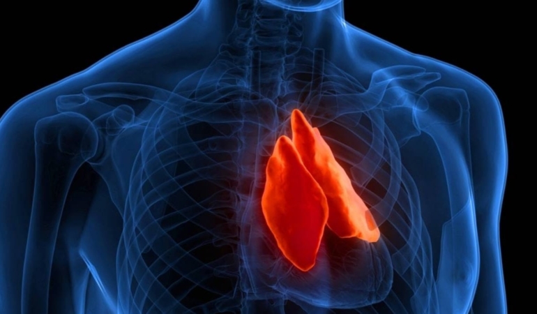 ‘Gereksiz’ denilen o organın kanserle savaştığı ortaya çıktı: Faydasız sanılıp ameliyatla alınıyordu