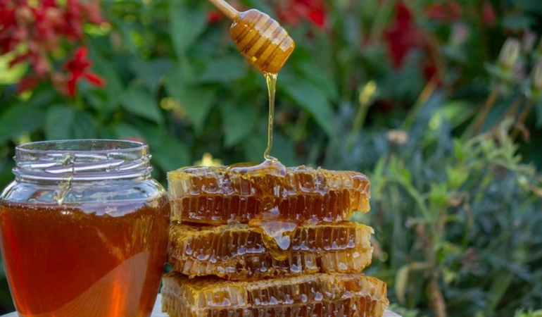 Türkiye’nin balı dünyanın ağzını tatlandırıyor: 31 ülke sipariş için kuyruğa girdi