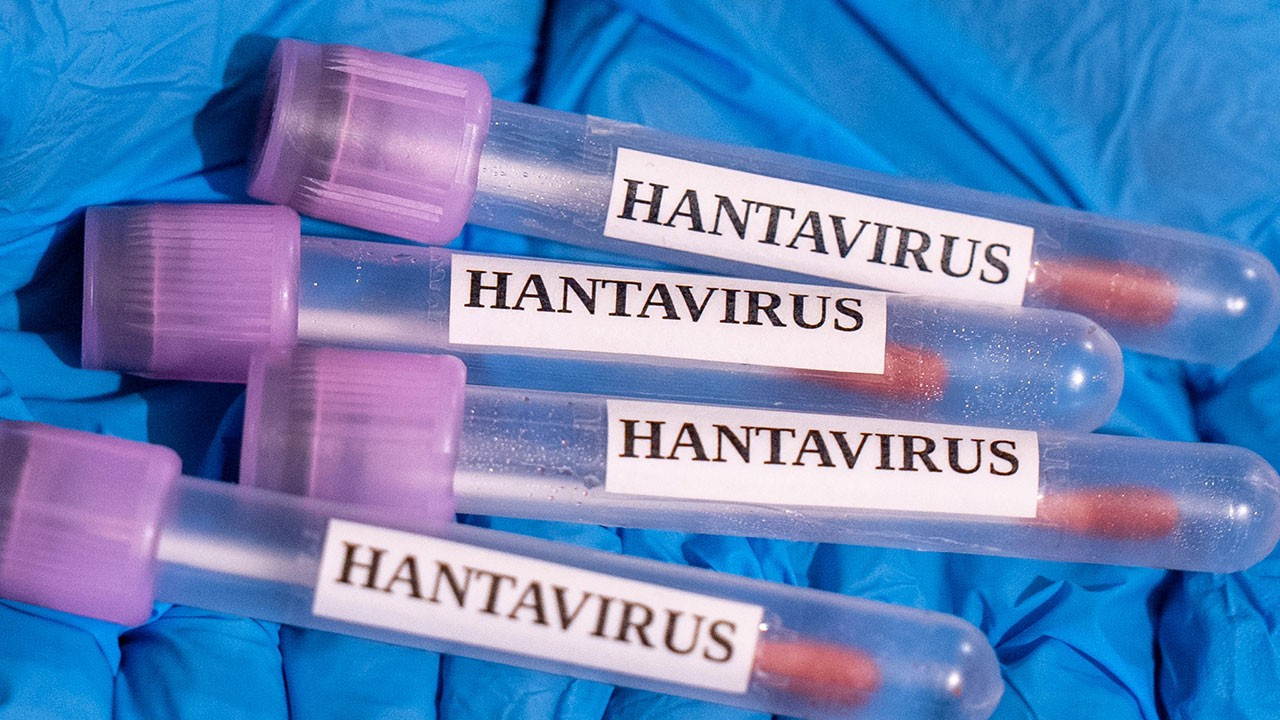 dsoden-aciklama-hantavirus-global-sihhat-icin-risk-olusturuyor-mu-LeUSn4CT.jpg