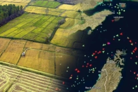 hurmuz-bogazi-tikandi-el-nino-kapiya-dayandi-her-gun-yedigimiz-besin-icin-tehlike-canlari-Atuk8s9S.jpg