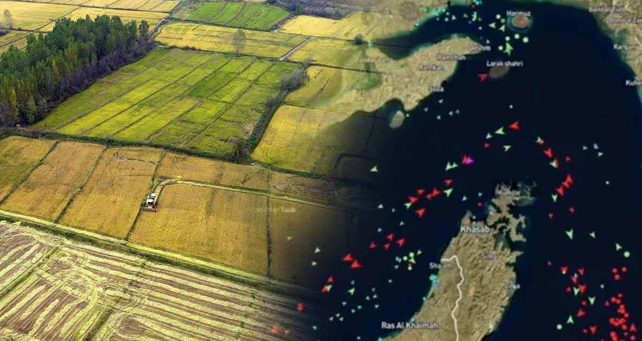 hurmuz-bogazi-tikandi-el-nino-kapiya-dayandi-her-gun-yedigimiz-besin-icin-tehlike-canlari-Atuk8s9S.jpg