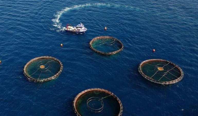 Su eserleri ihracatında Doğu Karadeniz’den 73,7 milyon dolarlık gelir