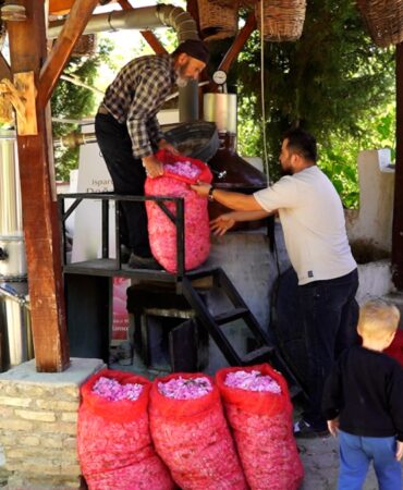 50-kilo-urunden-2-saatte-cikan-mucize-almanlar-kapis-kapis-aliyor-XaWBma9M.jpg