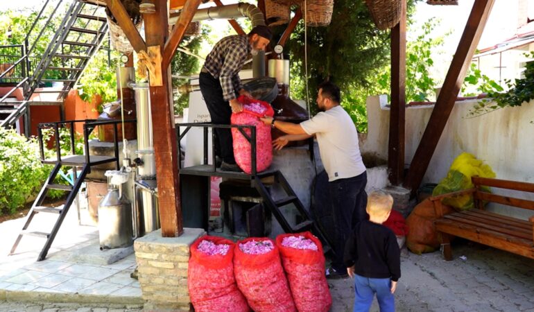 50 kilo üründen 2 saatte çıkan mucize: Almanlar kapış kapış alıyor!