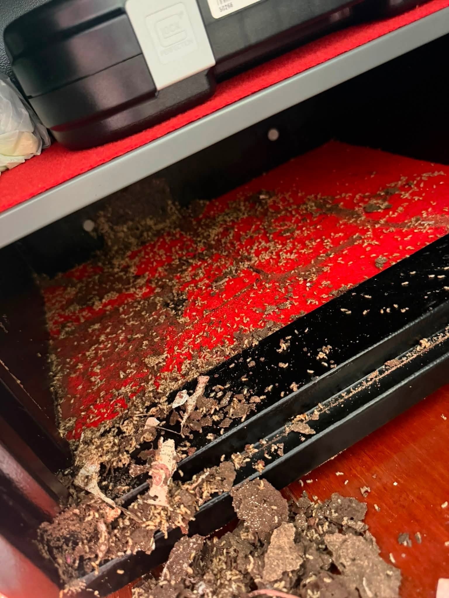Kasadaki Paranın Bir Kısmı Kurtarılabilir, Tamamı Değil