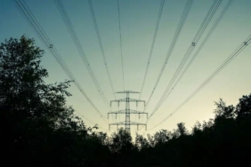 milyonlarca-kisiyi-elektriksiz-birakan-felaketin-suclusu-bir-agac-cikti-gblJVHSO.jpg