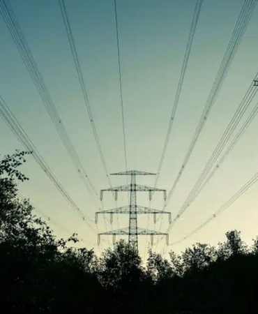 milyonlarca-kisiyi-elektriksiz-birakan-felaketin-suclusu-bir-agac-cikti-gblJVHSO.jpg