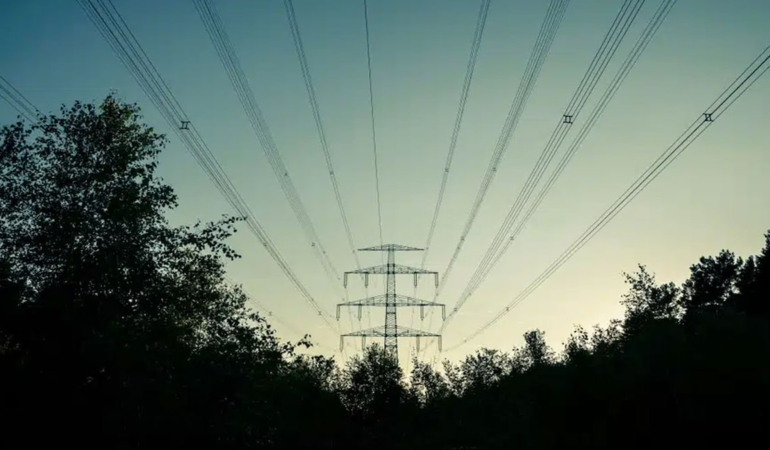 Milyonlarca kişiyi elektriksiz bırakan felaketin suçlusu bir ağaç çıktı