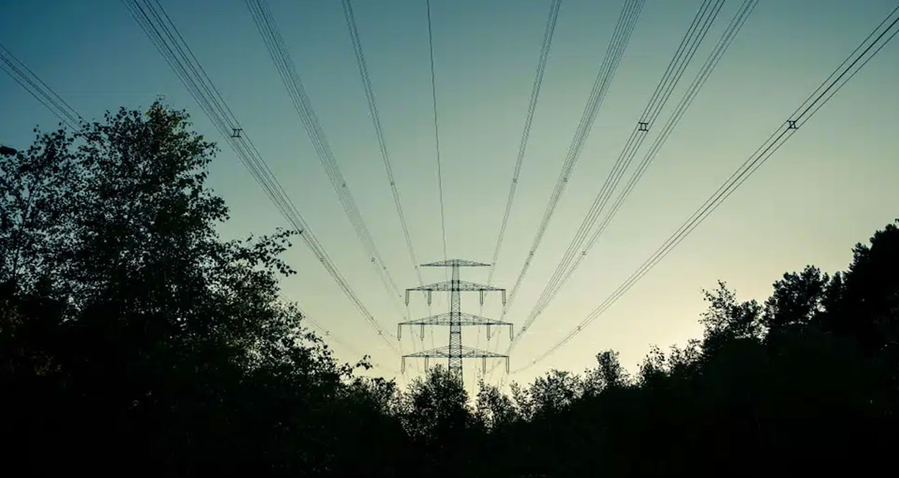 milyonlarca-kisiyi-elektriksiz-birakan-felaketin-suclusu-bir-agac-cikti-gblJVHSO.jpg