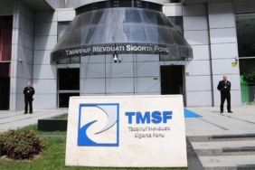 tmsfnin-kayyumunda-1217-sirket-3ybCzy2m.jpg