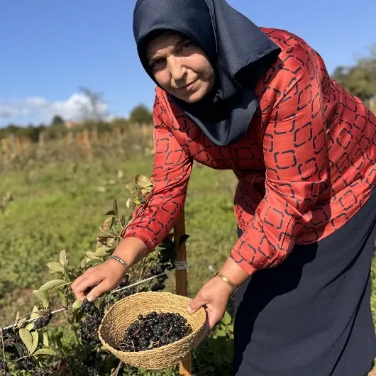Üretimde organik yaklaşım ve başarı
