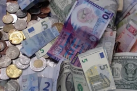 cuzdaninizdaki-5-euro-bir-anda-servet-olabilir-nadir-seri-numaralari-ve-hatali-baskilar-koleksiyonculari-ZYptXCD3.jpg