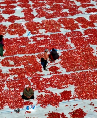 yesilhisarin-kuru-domatesi-dunyaya-aciliyor-17geaEgk.jpg